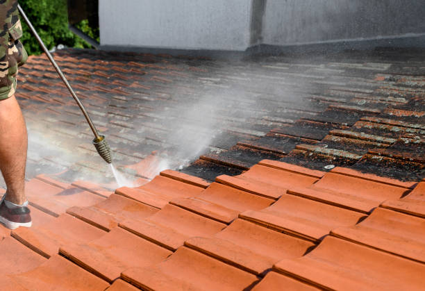 Best Local Pressure Washing Services  in Pomona Park, FL