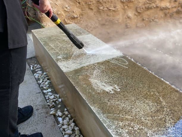 Best Pressure Washing Near Me  in Pomona Park, FL